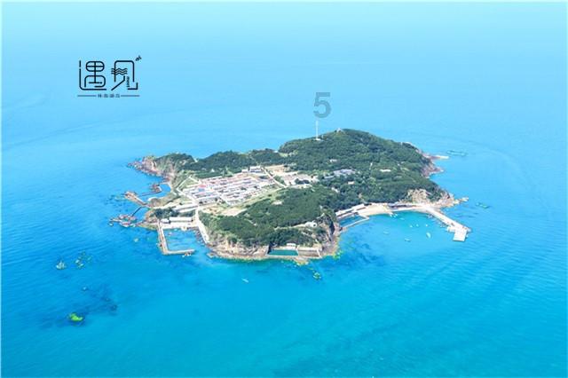 雏菊花园逃生